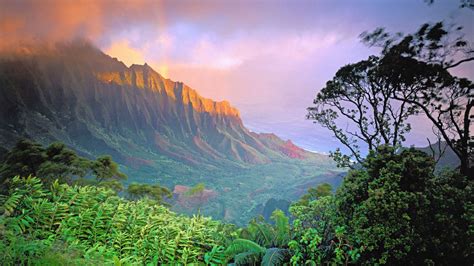 Hawaii natur